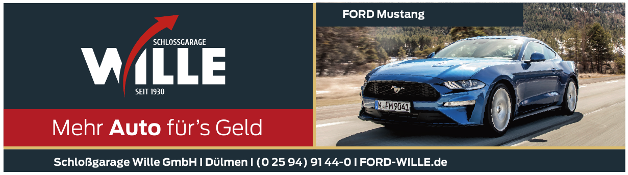 Schloßgarage Wille GmbH Schloßgarage Wille GmbH