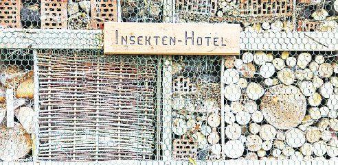 Wer Insekten ein gutes Zuhause bietet, kann mit ihrer Hilfe bei der Schädlingsbekömpfung rechnen. Foto: Gabriele Rohde - stock.adobe.com Wer Insekten ein gutes Zuhause bietet, kann mit ihrer Hilfe bei der Schädlingsbekömpfung rechnen. Foto: Gabriele Rohde - stock.adobe.com