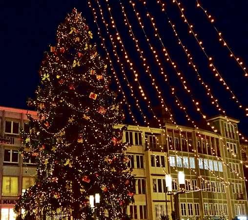 Weihnachtliche Stimmung in der City: Die großen Bäume, die in den Städten für den Lichterglanz sorgen, kommen in der Regel aus nachhaltig bewirtschafteten Wäldern