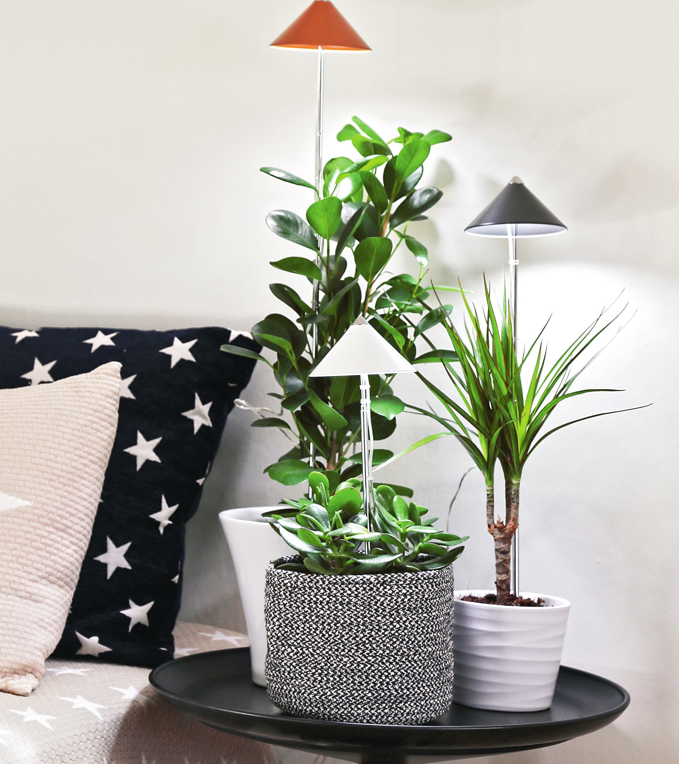 SUNLiTE LED-Leuchten. Werkfotos SUNLiTE LED-Leuchten. Werkfotos