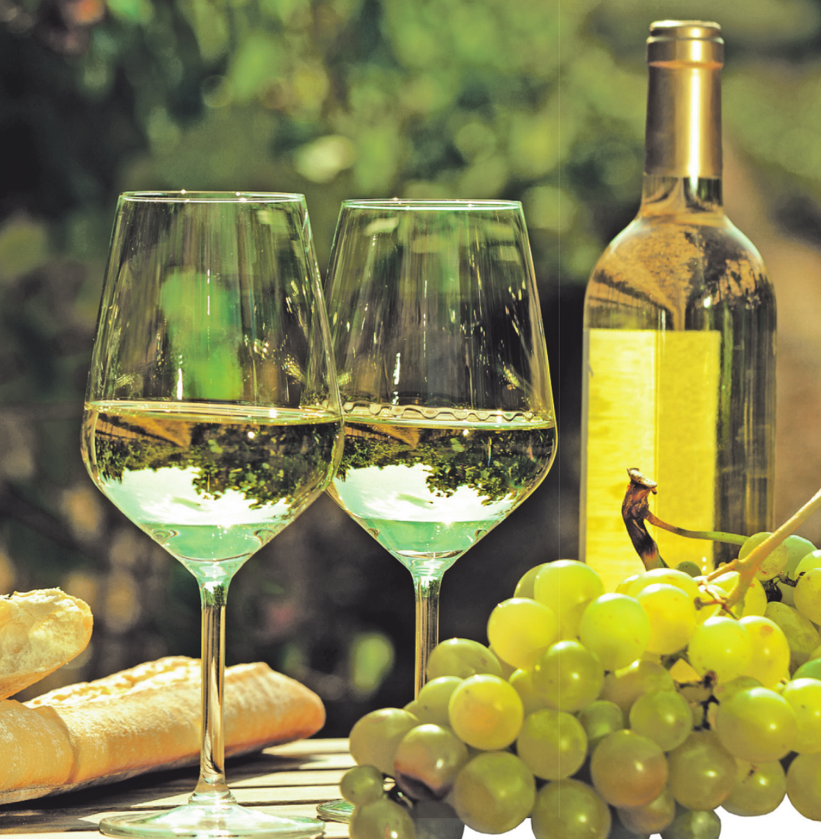 Wer in Wein investieren möchte, sollte sich an die französische „Premier Cru“ halten, die nur in geringer Stückzahl auf dem Markt verfügbar ist Bild: caftor/stock.adobe.com Wer in Wein investieren möchte, sollte sich an die französische „Premier Cru“ halten, die nur in geringer Stückzahl auf dem Markt verfügbar ist Bild: caftor/stock.adobe.com