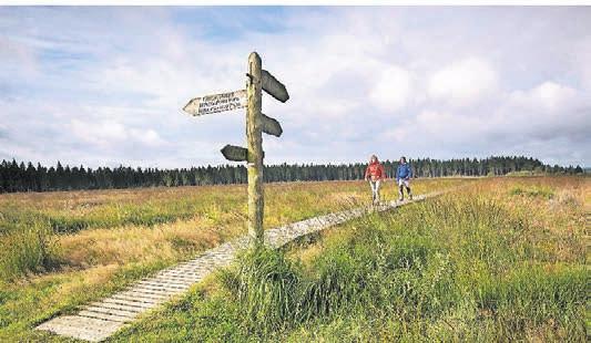 Ohne Stege wäre das Hohe Venn kaum begehbar. Unzählige Flüsse und Bäche entspringen in dieser regenreichen Moorlandschaft. Foto: Lex van den Bosch Ohne Stege wäre das Hohe Venn kaum begehbar. Unzählige Flüsse und Bäche entspringen in dieser regenreichen Moorlandschaft. Foto: Lex van den Bosch