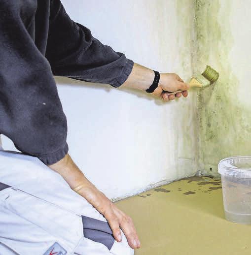 Erste Hilfe bei Schimmel: Zeigen sich die ersten Flecken, ist schnelles Handeln geboten. Foto: Kreidezei Erste Hilfe bei Schimmel: Zeigen sich die ersten Flecken, ist schnelles Handeln geboten. Foto: Kreidezei