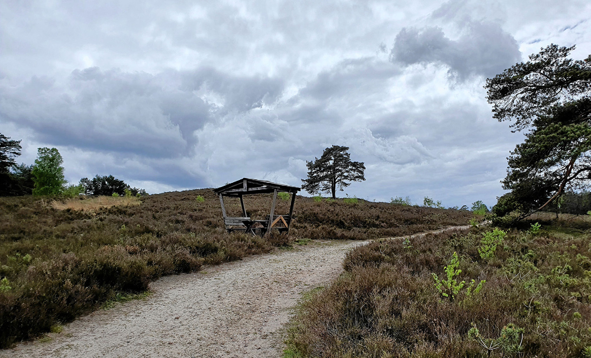 Durch die Heide Image 2 Durch die Heide Image 2