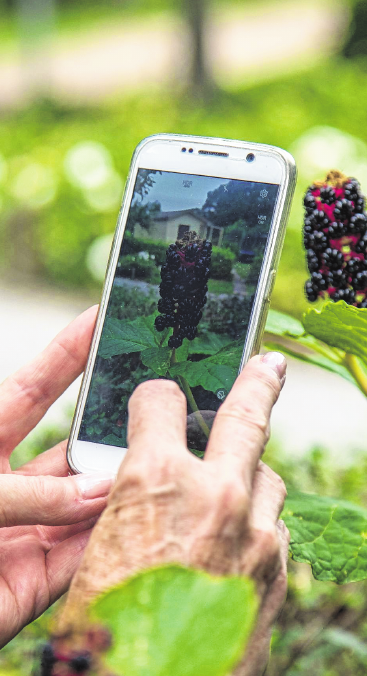 Sicher, es erfordert mehr Geduld und Übung als für junge Leute – dennoch ist das Alter kein Ausschlussgrund, um den Umgang mit einem Smartphone zu lernen. FOTO: CHRISTIN KLOSE, TMN Sicher, es erfordert mehr Geduld und Übung als für junge Leute – dennoch ist das Alter kein Ausschlussgrund, um den Umgang mit einem Smartphone zu lernen. FOTO: CHRISTIN KLOSE, TMN