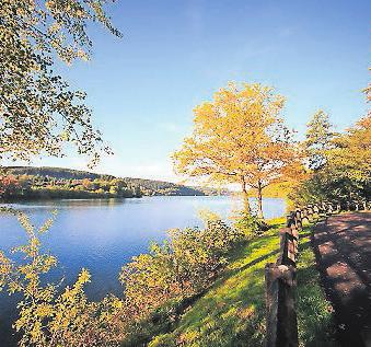 Der Wanderweg an der Listertalsperre. Der Wanderweg an der Listertalsperre.