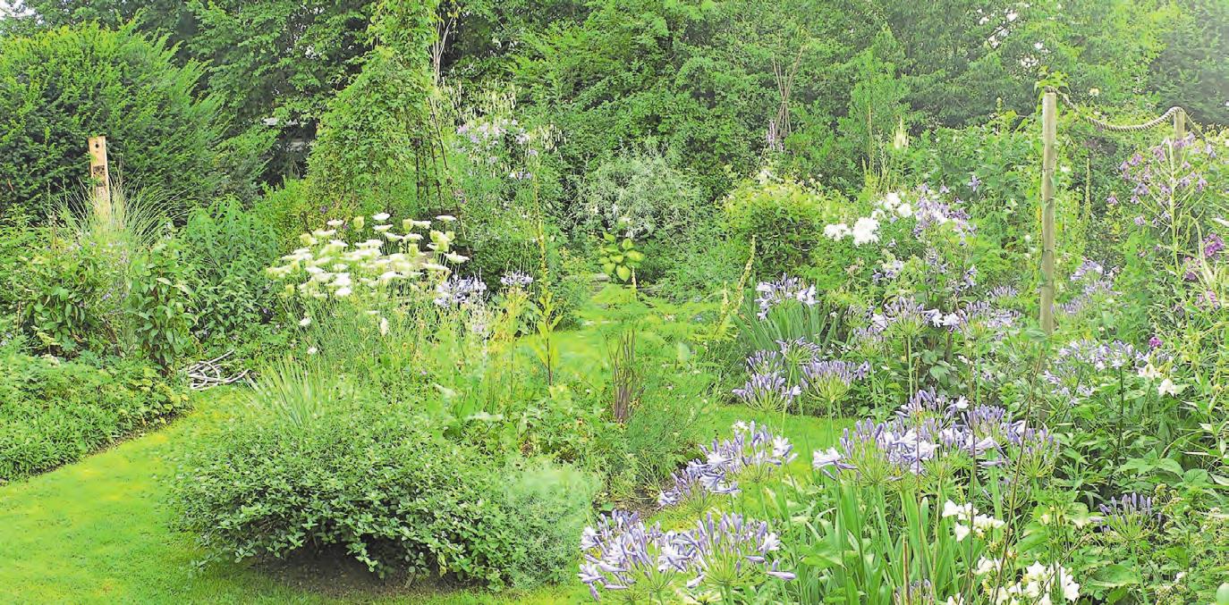 Der geheimnisvolle Garten Lebensräume CH Medien