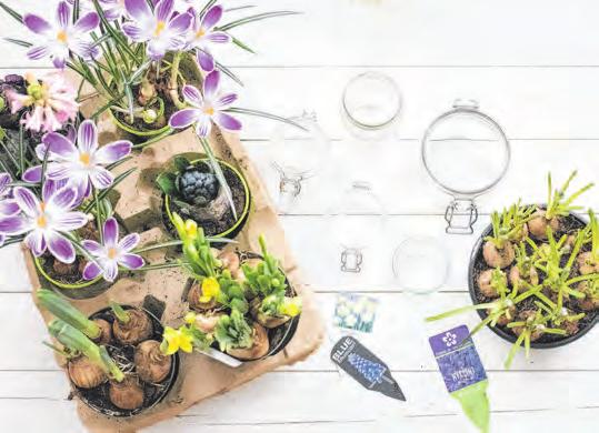 So kommt der Frühling in die Stube Image 1 So kommt der Frühling in die Stube Image 1