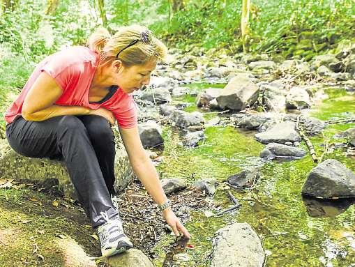 Basalt und Wasser prägen eine Wanderung ab der Ulmtalsperre. Archivfoto: Katrin Weber Basalt und Wasser prägen eine Wanderung ab der Ulmtalsperre. Archivfoto: Katrin Weber