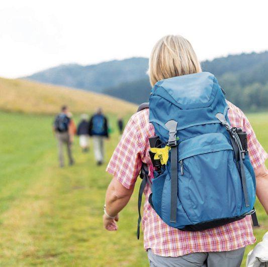 Die Bustouristik lädt zu erholsamen Wanderreisen an der frischen Luft ein. Bild: gbk