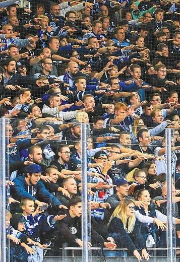 Schmerzlich vermisste Normalität: Aktuell müssen sich die Panther-Fans mit dem heimischen Sofa und dem Fernseher zufriedengeben, anstatt den ERC Ingolstadt von ihrem Stammplatz in der Saturn-Arena aus anzufeuern. Fotos: Lüger/privat Schmerzlich vermisste Normalität: Aktuell müssen sich die Panther-Fans mit dem heimischen Sofa und dem Fernseher zufriedengeben, anstatt den ERC Ingolstadt von ihrem Stammplatz in der Saturn-Arena aus anzufeuern. Fotos: Lüger/privat