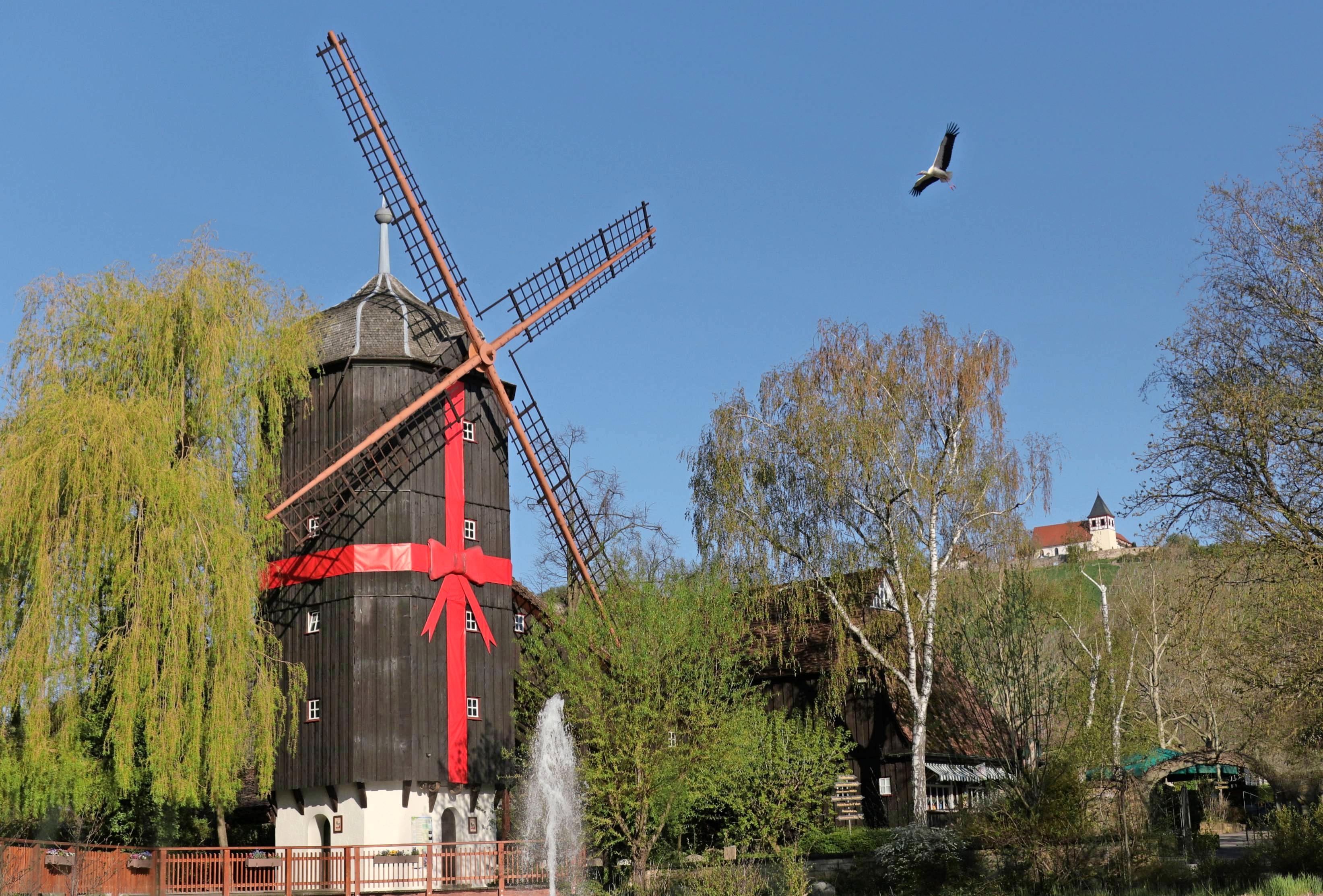 Die Altweibermühle wurde zum 90-jährigen Park-Jubiläum mit einer auffälligen roten Schleife versehen und als Geschenk verpackt. Die Altweibermühle wurde zum 90-jährigen Park-Jubiläum mit einer auffälligen roten Schleife versehen und als Geschenk verpackt.