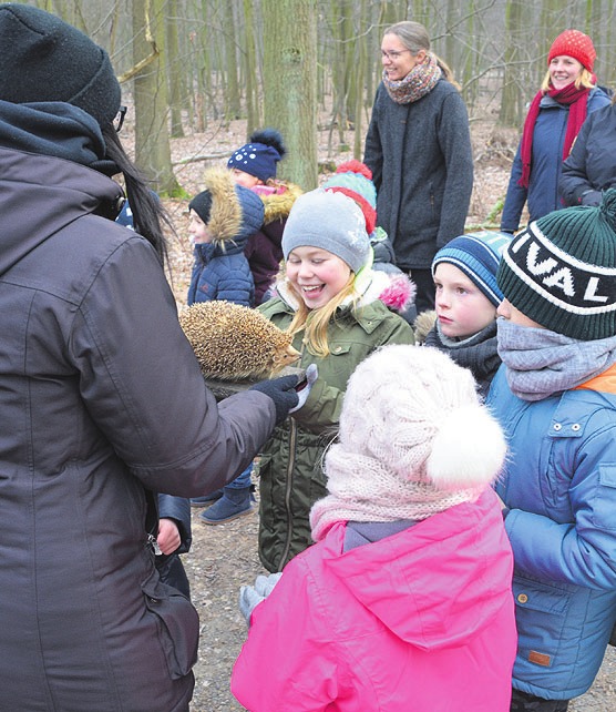 Die 2a der Eichendorff-Grundschule informierte sich beim NEST über Igel. Die 2a der Eichendorff-Grundschule informierte sich beim NEST über Igel.
