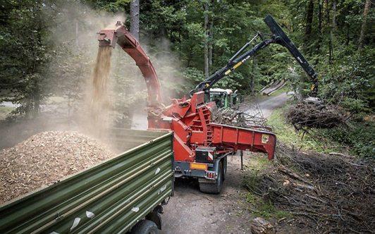 Im Wald werden Hackschnitzel hergestellt, Im Wald werden Hackschnitzel hergestellt,