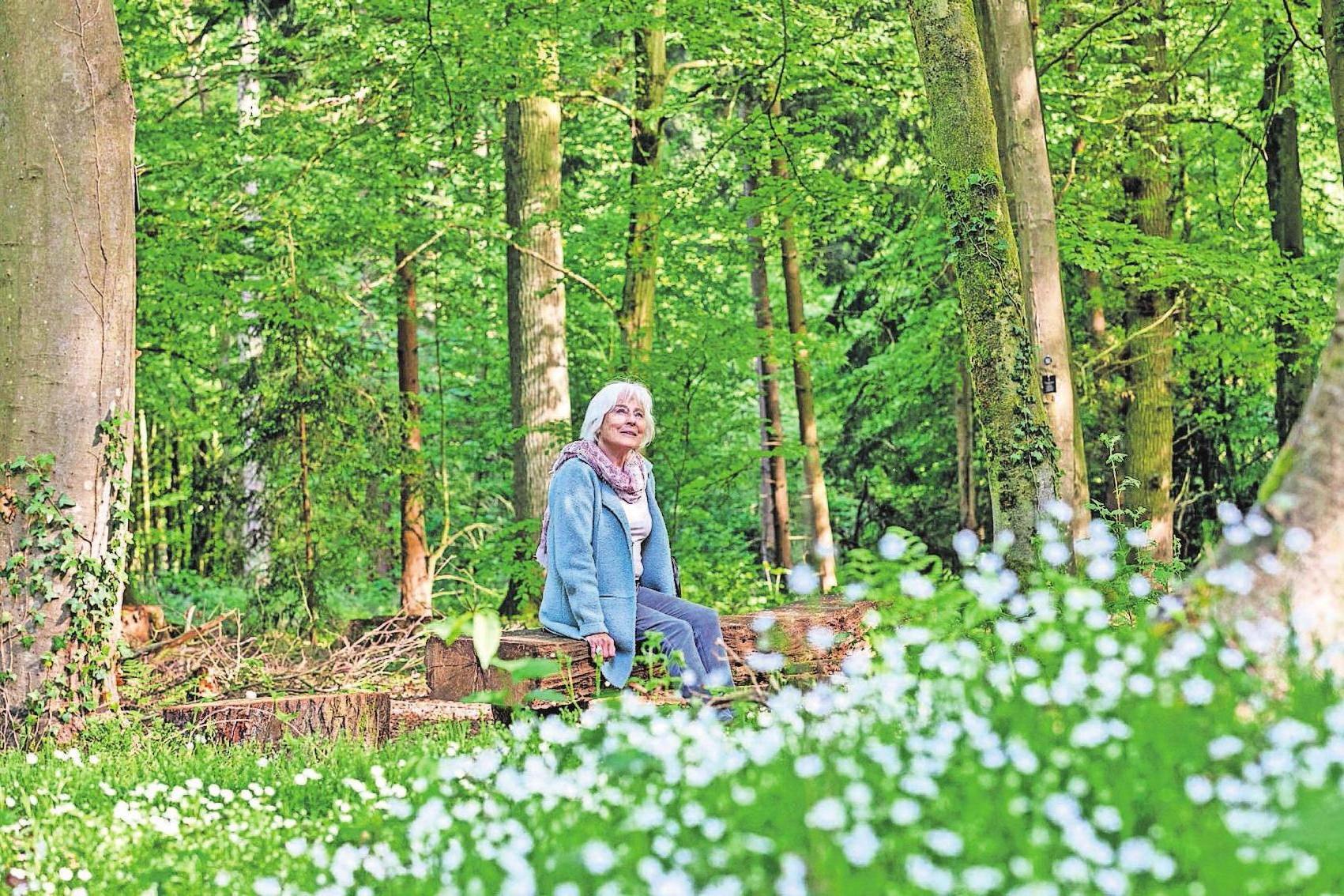 Wer überlegt, sich in einem Bestattungswald beisetzen zu lassen, kann dort bei einem individuellen Termin den richtigen Platz finden. Foto: djd/FriedWald Wer überlegt, sich in einem Bestattungswald beisetzen zu lassen, kann dort bei einem individuellen Termin den richtigen Platz finden. Foto: djd/FriedWald