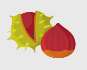 Der Sommer geht, der Herbst kommt Image 5 Der Sommer geht, der Herbst kommt Image 5