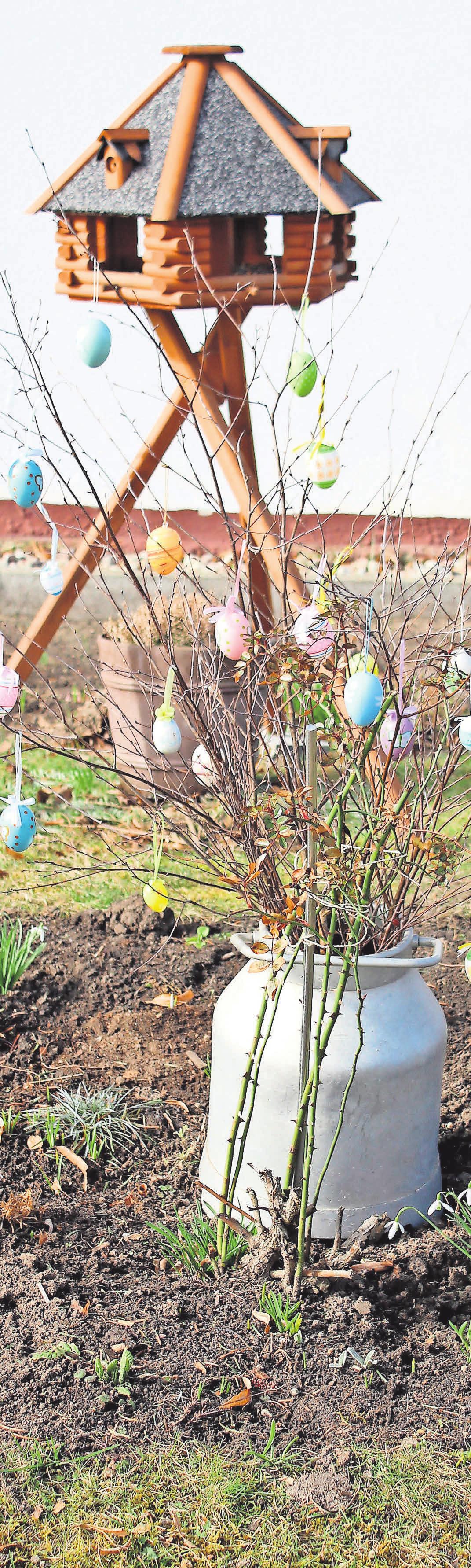 Mit viel Liebe und Geschmack österlich geschmückt ist dieser Vorgarten in Herzberg (Mark). Mit viel Liebe und Geschmack österlich geschmückt ist dieser Vorgarten in Herzberg (Mark).