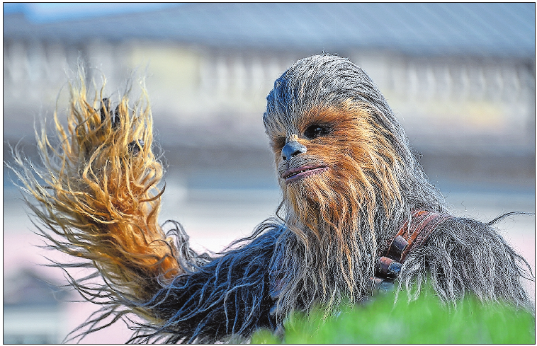 Außerirdisch: Chewbacca aus „Star Wars“. Archivfoto: Britta Pedersen/dpa Außerirdisch: Chewbacca aus „Star Wars“. Archivfoto: Britta Pedersen/dpa