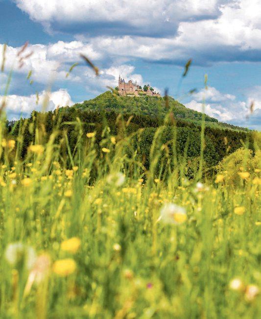 Bisingen ist umgeben von Natur. Die gesamte Region um Bisingen mit Albvorland und Albtrauf bis zur Albhochfläche ist ein Wanderparadies. Bild: Gemeinde Bisingen