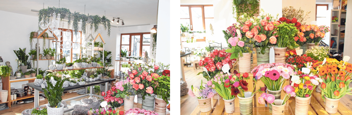 Nach fast 25 Jahren findet man das Blumengeschäft Bicker nun am Marktplatz 30. Nach fast 25 Jahren findet man das Blumengeschäft Bicker nun am Marktplatz 30.