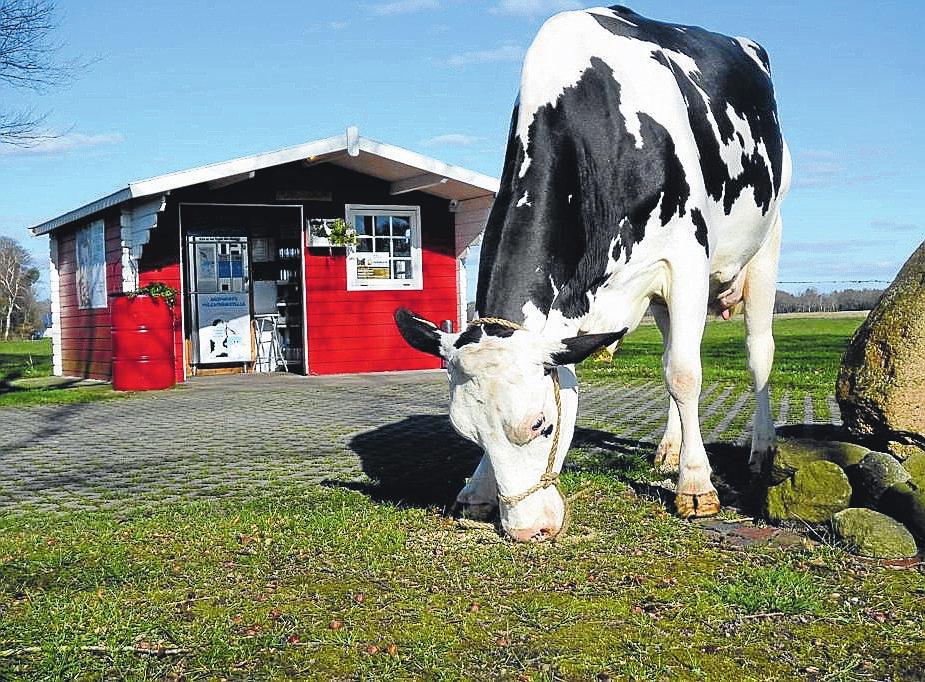 Milchtankstelle: Hier werden die hofeigenen Produkte und weitere regionale Erzeugnisse vermarktet.