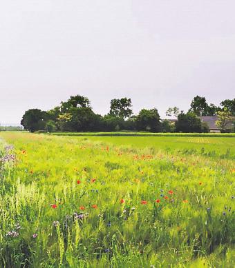 Bild: Gut Giffelsberg Bild: Gut Giffelsberg