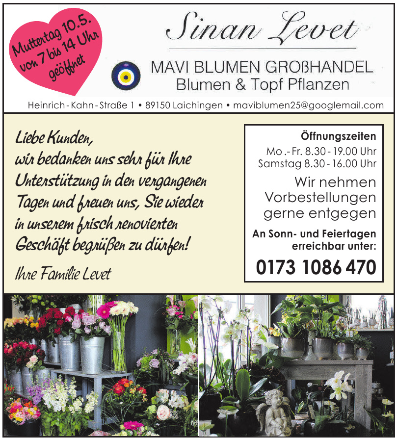 Sinan Levet - Mavi Blumen Großhandel, Blumen & Topf Pflanzen Sinan Levet - Mavi Blumen Großhandel, Blumen & Topf Pflanzen