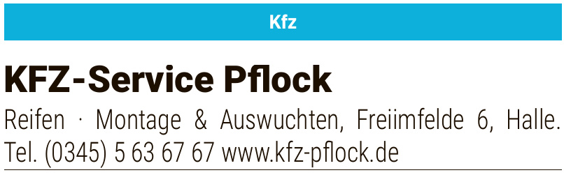 Kfz-Service Pflock