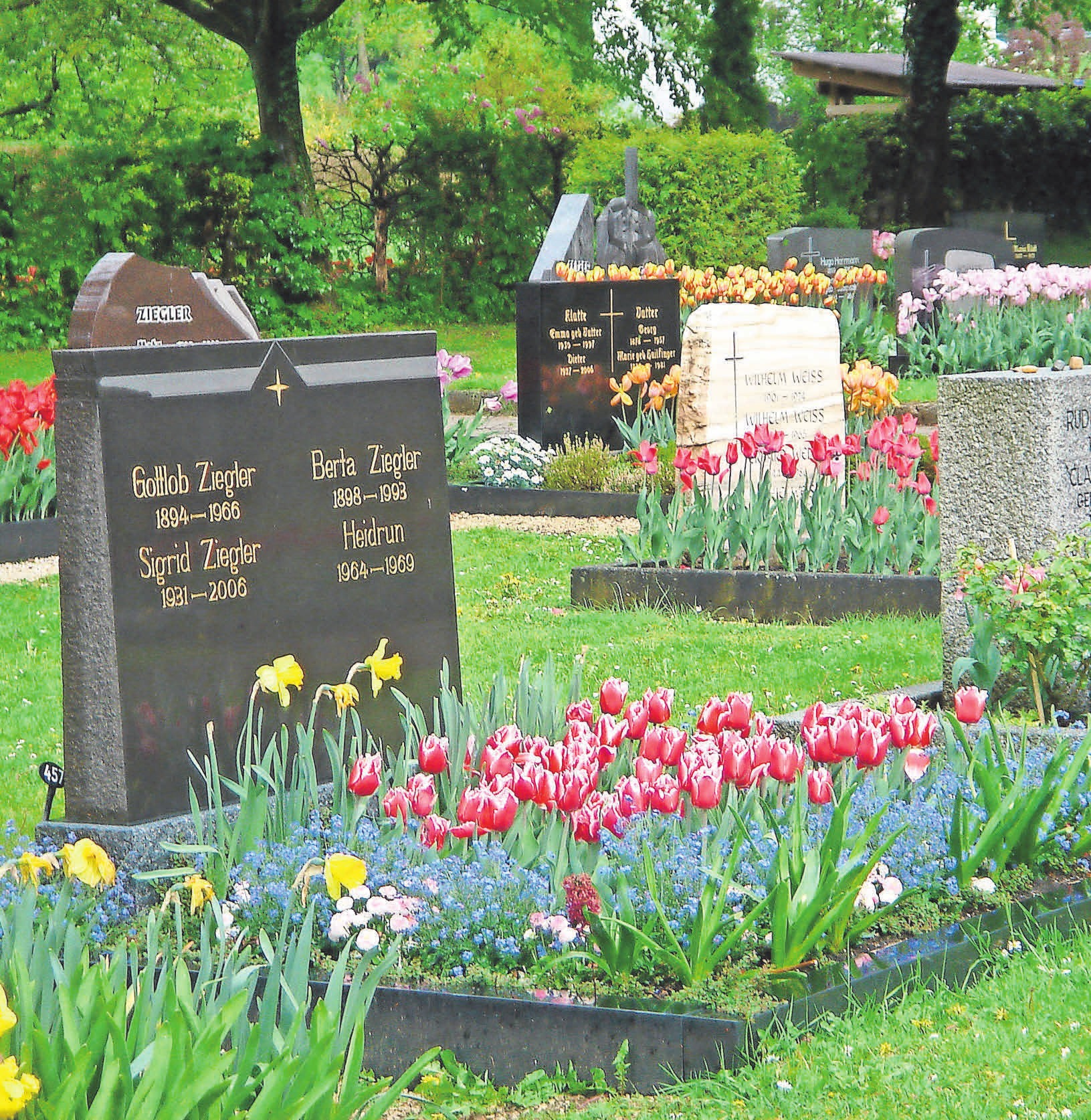 Frühlingsblumen auf dem Friedhof FOTO: FLUWEL Frühlingsblumen auf dem Friedhof FOTO: FLUWEL