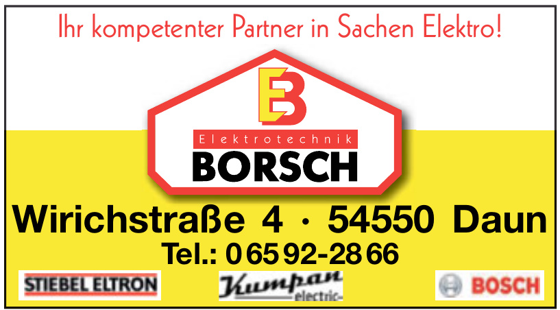 Elektrotechnik Borsch