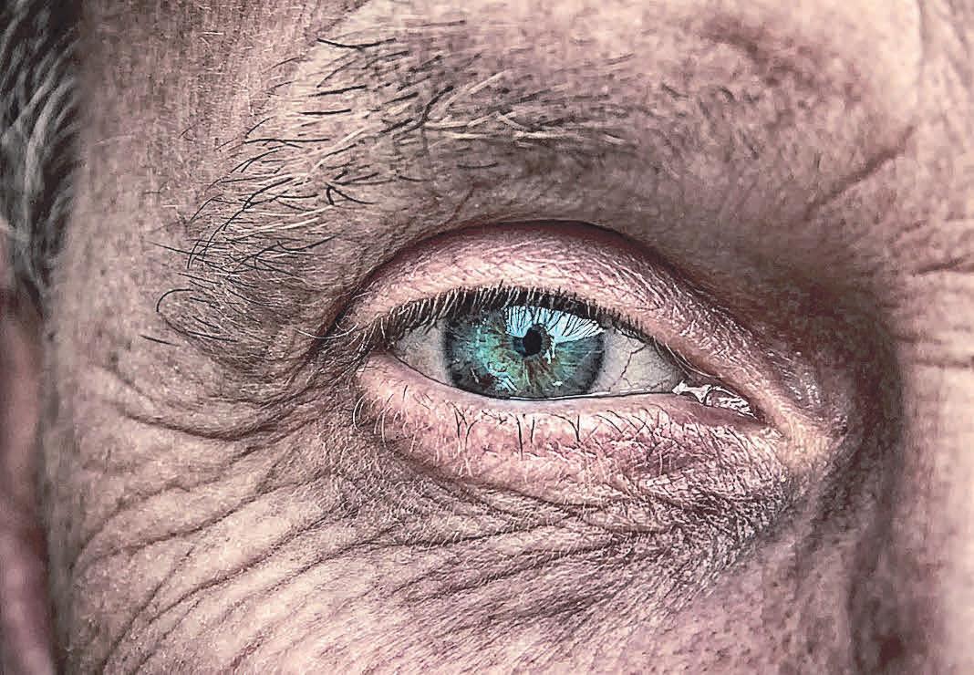 Heutzutage gibt es die verschiedensten Möglichkeiten, das eigene Alter zu verbergen – besonders durch Vorbeugung bei der Faltenbildung. Heutzutage gibt es die verschiedensten Möglichkeiten, das eigene Alter zu verbergen – besonders durch Vorbeugung bei der Faltenbildung.