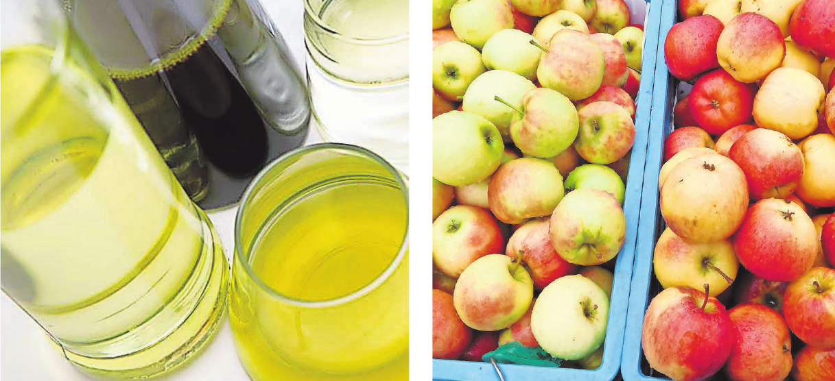 Regionale Produkte – damit punkten die Erzeuger aus der Neuruppiner Region. FOTOS: DPA, KOORMANN Regionale Produkte – damit punkten die Erzeuger aus der Neuruppiner Region. FOTOS: DPA, KOORMANN