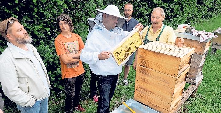 Immer mehr Menschen interessieren sich für die Imkerei. Anton Herzing (oben, rechts) zeigt, wie es geht. Die Lehrgänge des Imkervereins Creußen sind stets gut besucht und äußerst lehrreich. Fotos: Klaus Trenz (2), Andreas Eckert (1) Immer mehr Menschen interessieren sich für die Imkerei. Anton Herzing (oben, rechts) zeigt, wie es geht. Die Lehrgänge des Imkervereins Creußen sind stets gut besucht und äußerst lehrreich. Fotos: Klaus Trenz (2), Andreas Eckert (1)