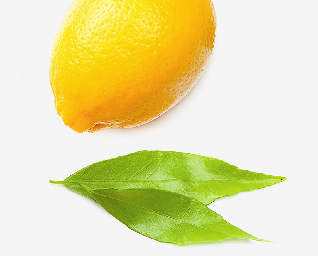 Wenn das Essen aus dem Müll kommt Image 1 Wenn das Essen aus dem Müll kommt Image 1
