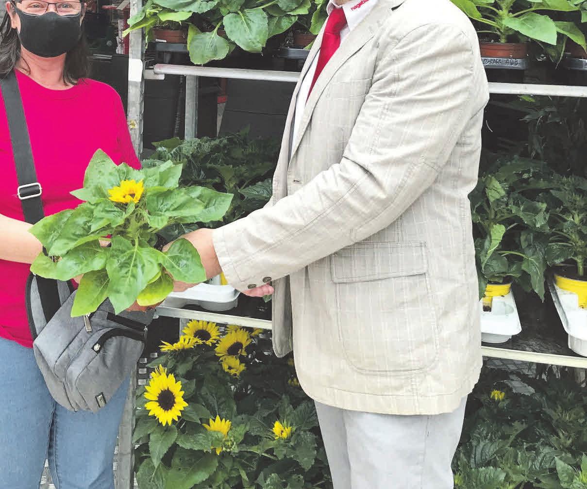 Der Hagebaumarkt am Eyßelheideweg zauberte mit leuchtend gelben Blumengrüßen vielen Kunden ein Lächeln aufs Gesicht. Der Hagebaumarkt am Eyßelheideweg zauberte mit leuchtend gelben Blumengrüßen vielen Kunden ein Lächeln aufs Gesicht.