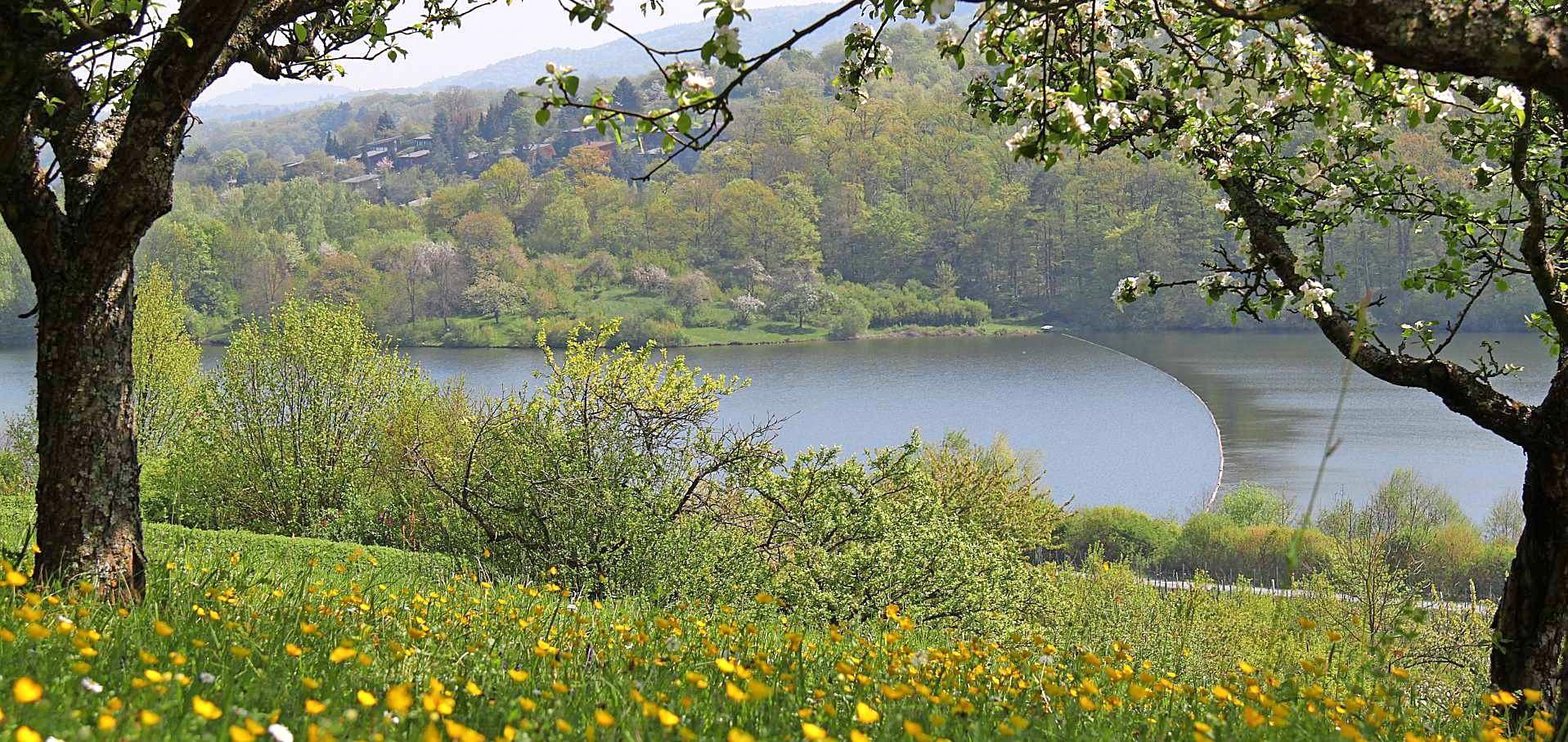 Erstmals hat sich der Neckar-Zaber-Tourismus mit seinem neu beschilderten Drei-Seenweg in Zaberfeld um den Titel „Deutschlands schönster Wanderweg“ beworben. Erstmals hat sich der Neckar-Zaber-Tourismus mit seinem neu beschilderten Drei-Seenweg in Zaberfeld um den Titel „Deutschlands schönster Wanderweg“ beworben.