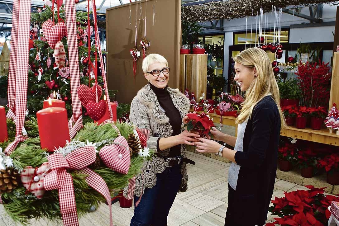 Die Vorweihnachtszeit ist ein Paradies für Dekoliebhaber und Kreative. Im gärtnerischen Fachhandel finden sie alles, was das Herz für eine besinnliche und fröhliche Atmosphäre im eigenen Zuhause braucht. Foto: GMH/BVE Die Vorweihnachtszeit ist ein Paradies für Dekoliebhaber und Kreative. Im gärtnerischen Fachhandel finden sie alles, was das Herz für eine besinnliche und fröhliche Atmosphäre im eigenen Zuhause braucht. Foto: GMH/BVE