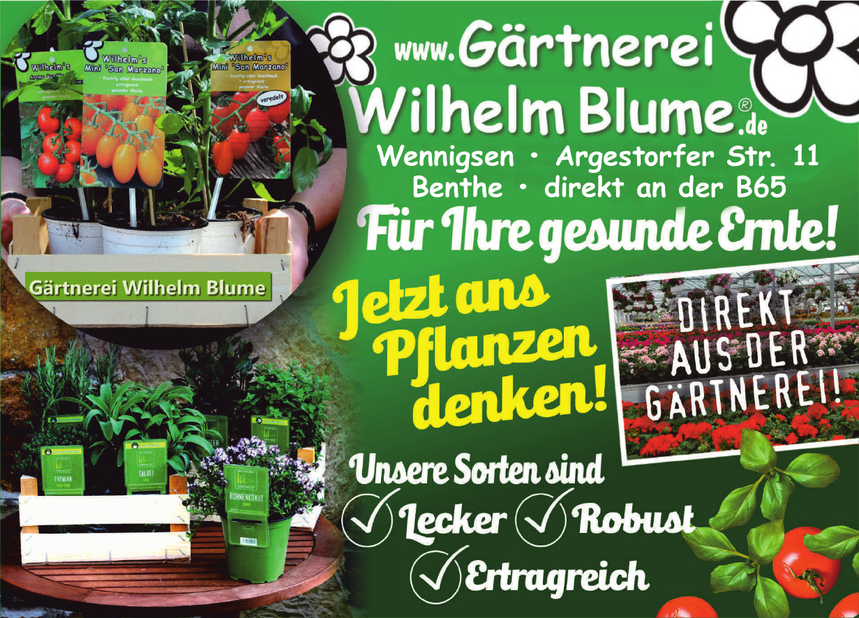 Gärtnerei Wilhelm Blume Gärtnerei Wilhelm Blume