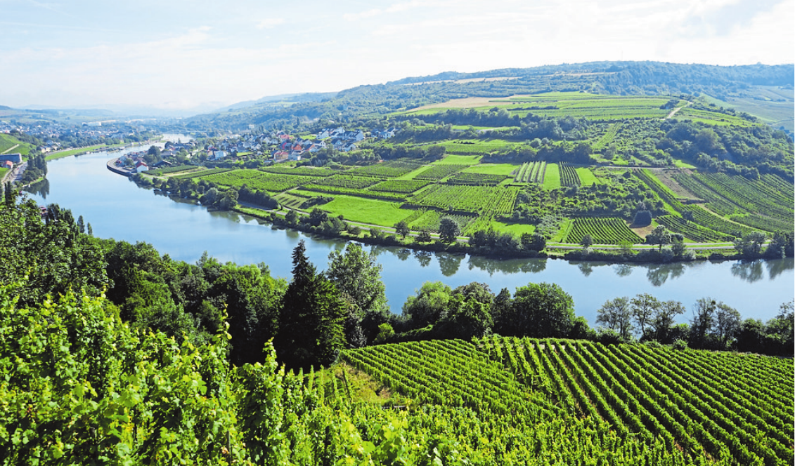 An der Mosel entlang finden sich zahlreiche, wunderschöne Aussichtspunkte. Fotos: Shutterstock