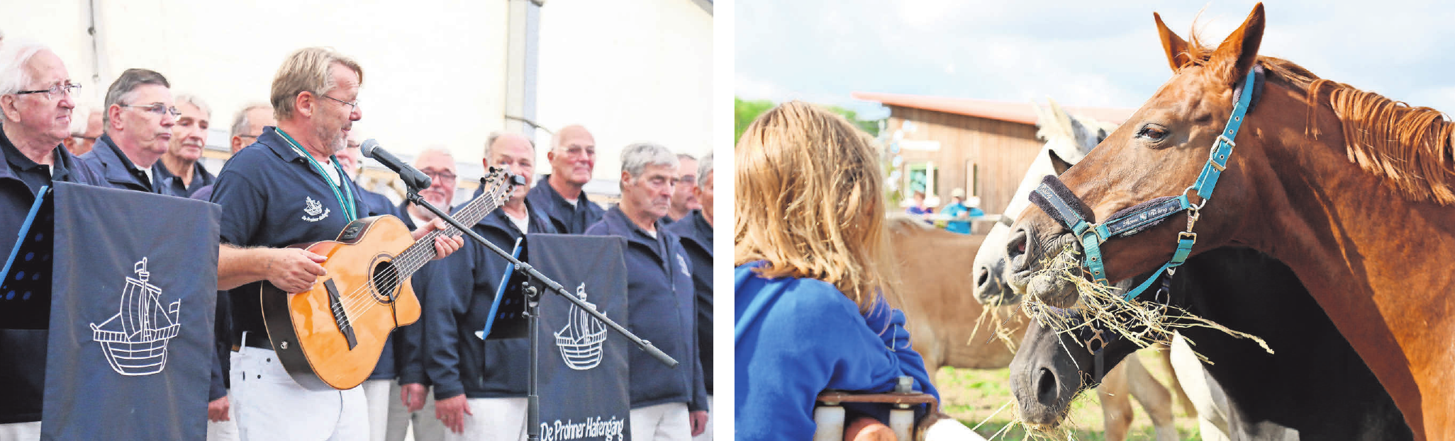 Die Prohner Hafengäng ist mit von der Partie. Kinder können an diesem Tag auch reiten. Die Prohner Hafengäng ist mit von der Partie. Kinder können an diesem Tag auch reiten.