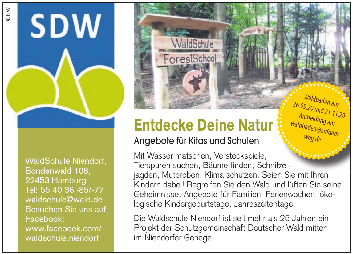 WaldSchule Niendorf WaldSchule Niendorf