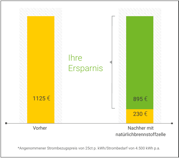 Das Einsparpotenzial für Strom bei einer Brennstoffzellenheizung ist beachtlich. Grafik: Erdgas Südwest GmbH Das Einsparpotenzial für Strom bei einer Brennstoffzellenheizung ist beachtlich. Grafik: Erdgas Südwest GmbH