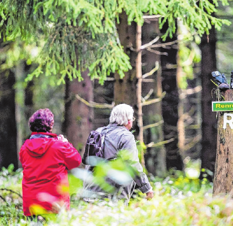 Das Gehen auf unebenen, abwechslungsreichen Untergründen stärkt den Bewegungsapparat. FOTO: MICHAEL REICHEL, DPA Das Gehen auf unebenen, abwechslungsreichen Untergründen stärkt den Bewegungsapparat. FOTO: MICHAEL REICHEL, DPA