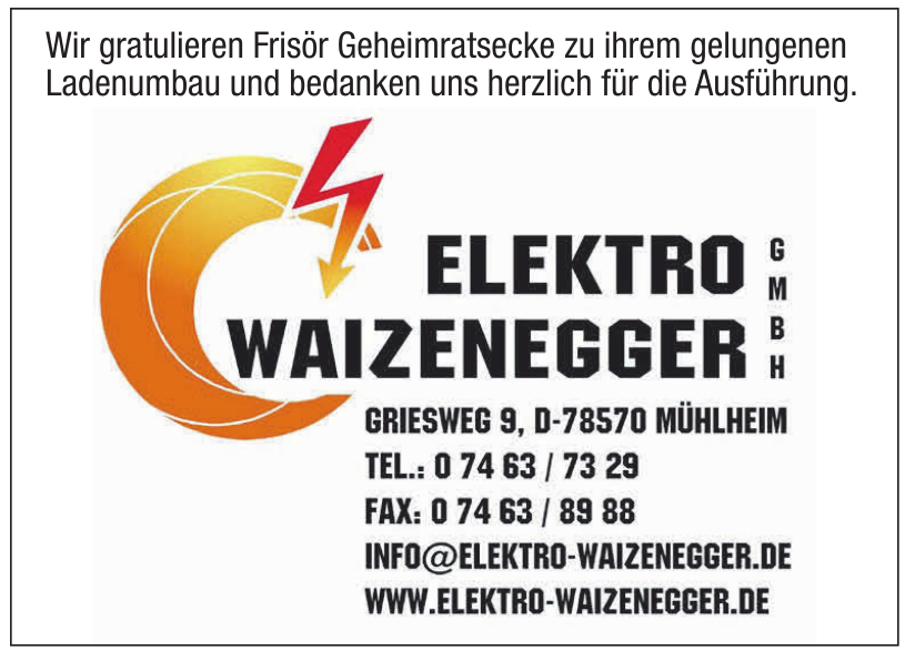 Elektro Waizenegger GmbH Elektro Waizenegger GmbH