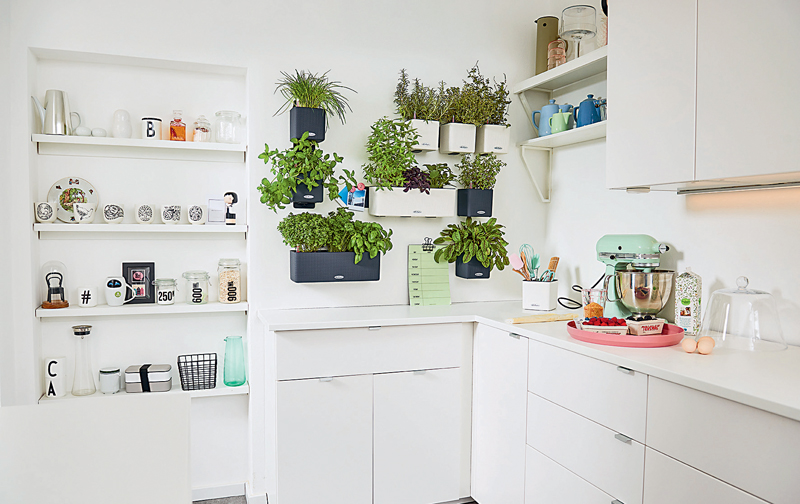 Mit dem Green Wall Home Kit von Lechuza entstehen ... Werkfotos Mit dem Green Wall Home Kit von Lechuza entstehen ... Werkfotos