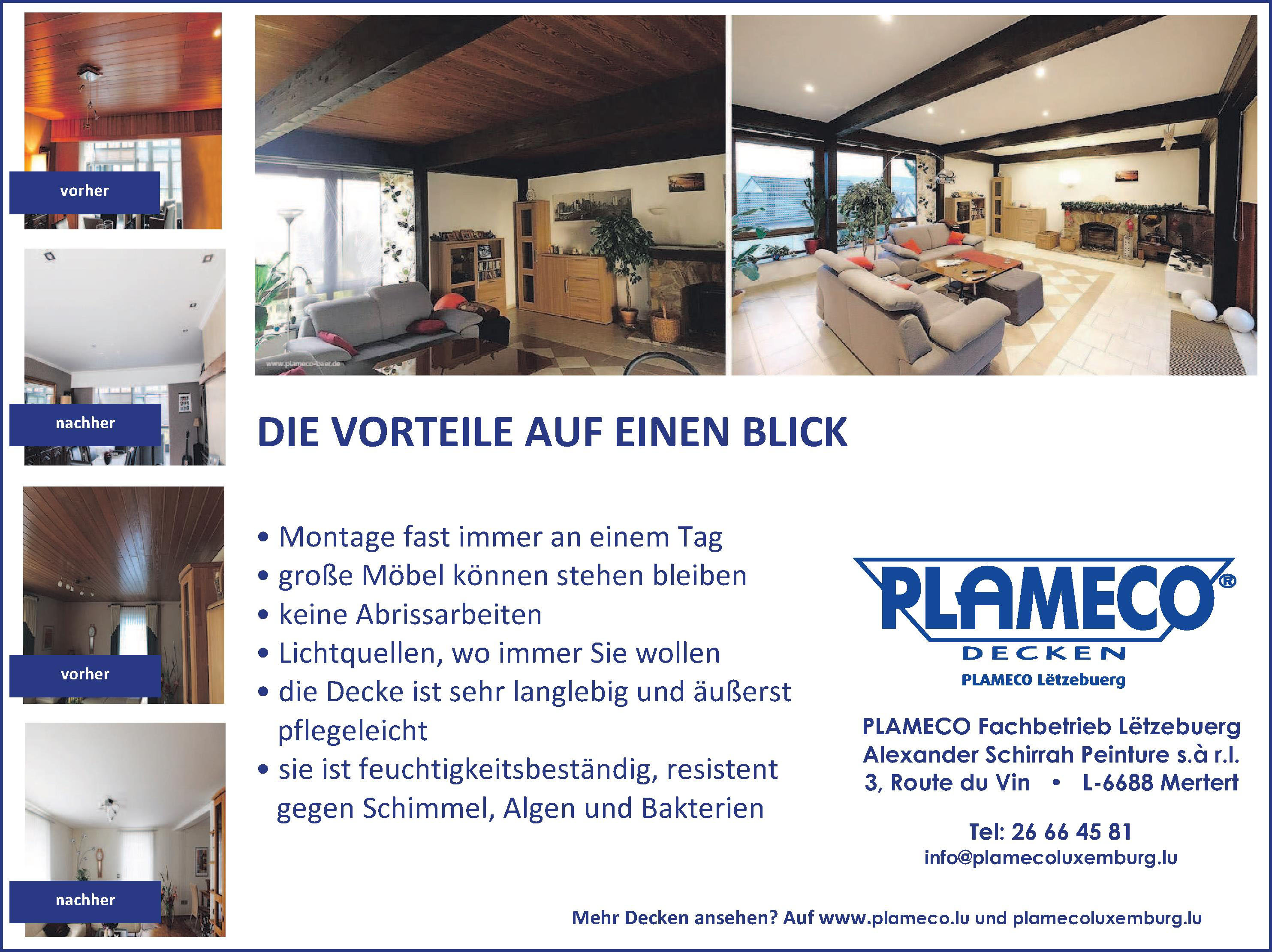 Plameco Decken - Alexander Schirrah Peinture s.àr.l.