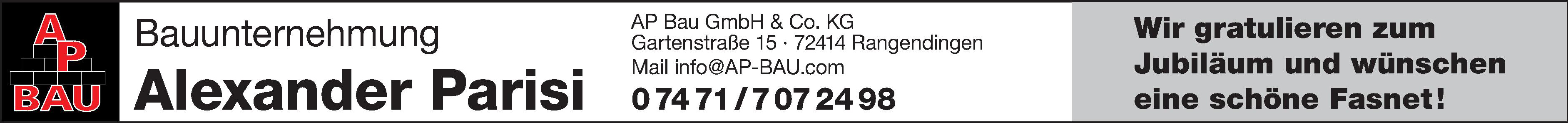 AP Bau GmbH & Co. KG AP Bau GmbH & Co. KG