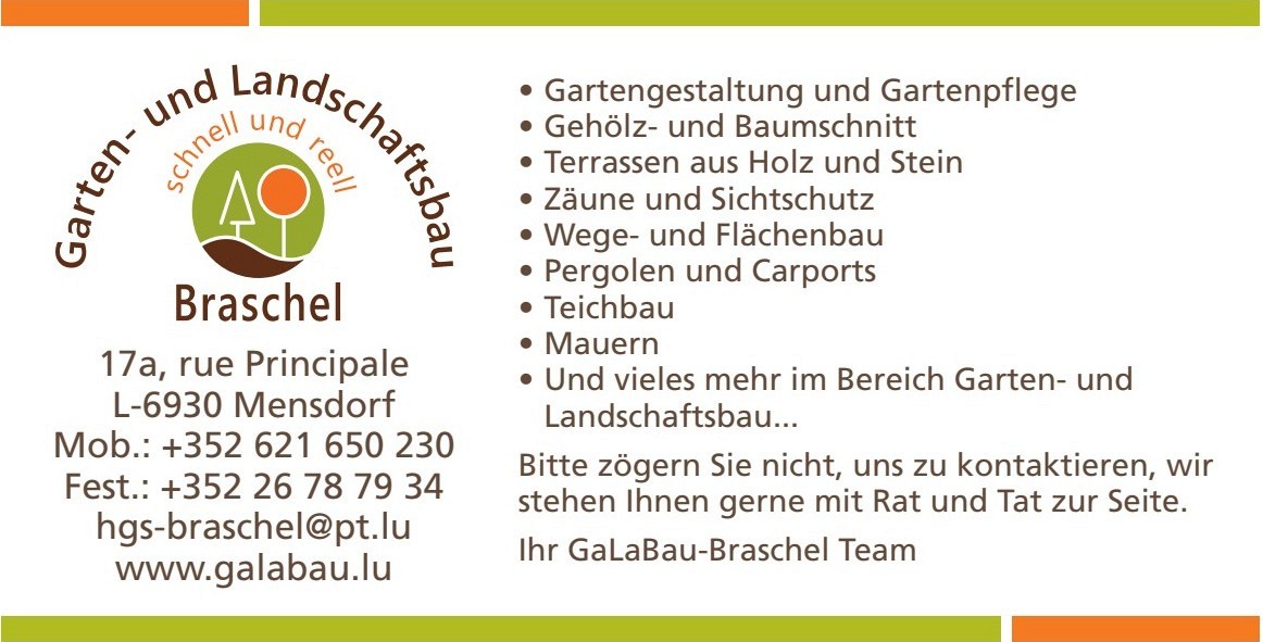 Garten- und Landschaftsbau Braschel