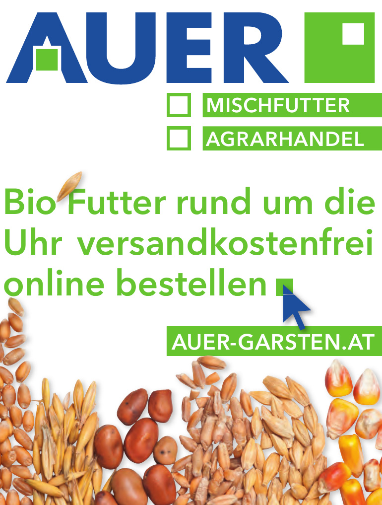 Auer Auer