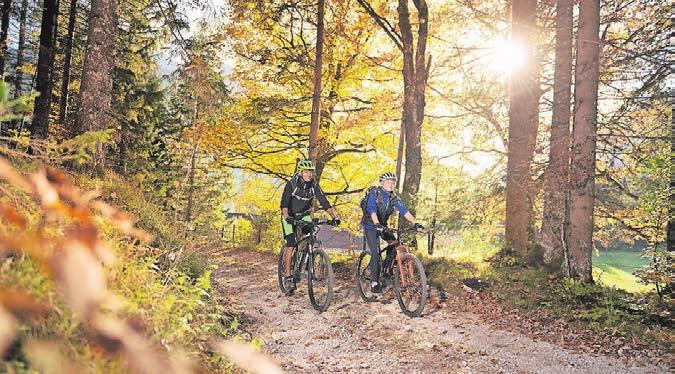 Radfahren durch die goldenen Herbstwälder... Radfahren durch die goldenen Herbstwälder...